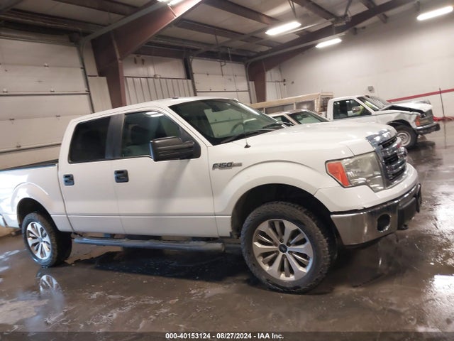 Ford F-150 Xlt 2014 1FTFW1EF2EFC56009 Image 13