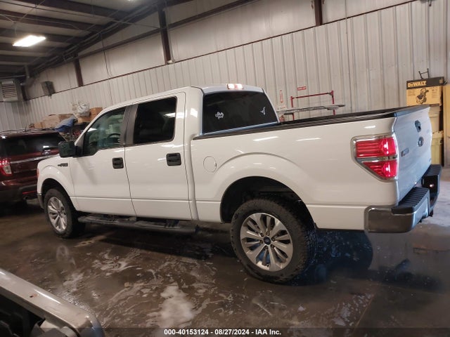 Ford F-150 Xlt 2014 1FTFW1EF2EFC56009 Image 14