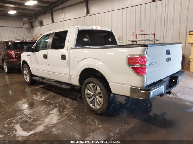 Ford F-150 Xlt 2014 1FTFW1EF2EFC56009 Image 3
