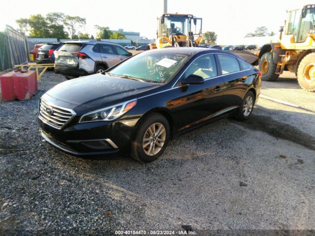 5NPE24AF8HH545906 Hyundai SONATA SE