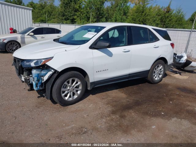 2GNAXREVXJ6199325 Chevrolet EQUINOX LS