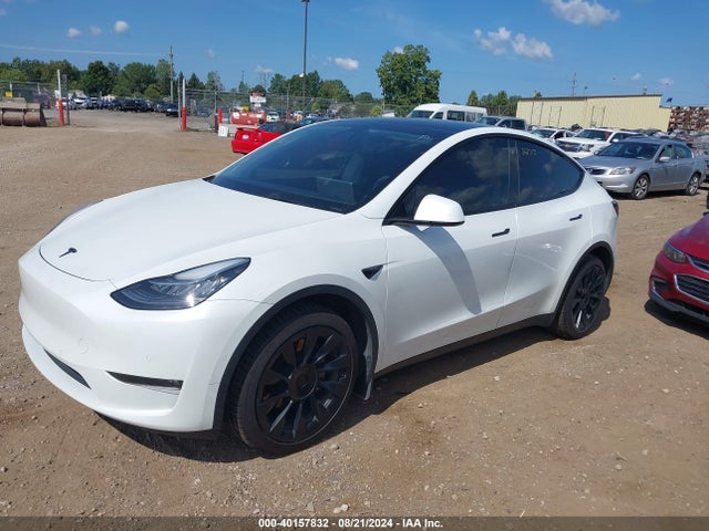 2021 TESLA MODEL Y 5YJYGDEE0MF295795 Photo 1