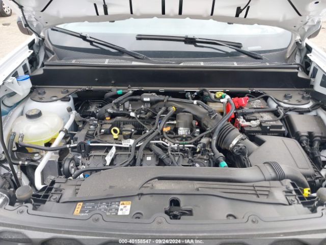3FTTW8J91RRA65525 Ford Maverick Xlt