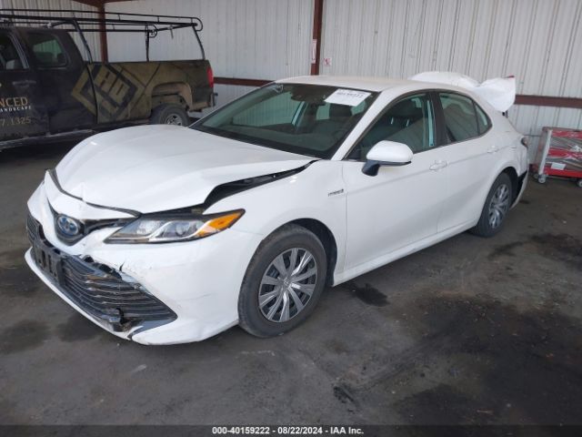 4T1B31HK4KU513593 Toyota Camry Hybrid Le