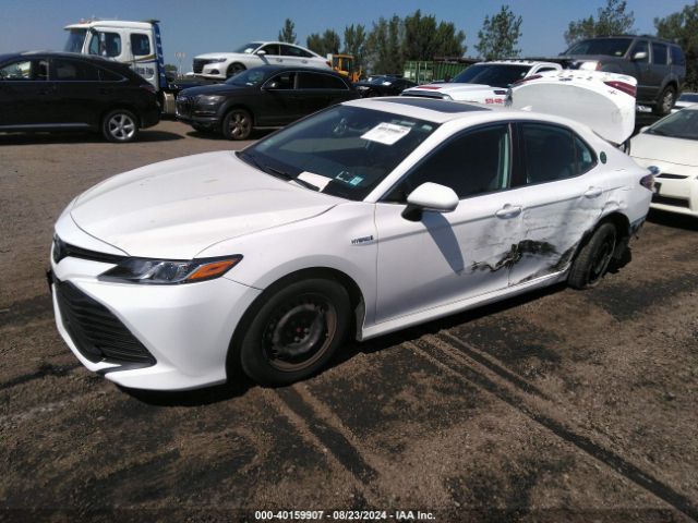 4T1B31HK9KU007032 Toyota Camry Hybrid Le