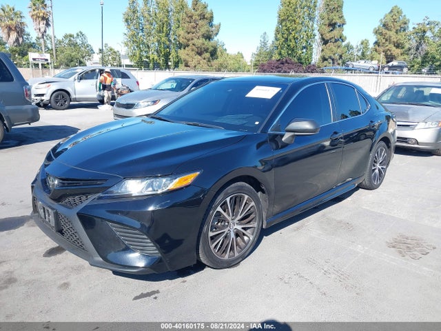 Toyota CAMRY SE 2019 4T1B11HK7KU716189 Image 2