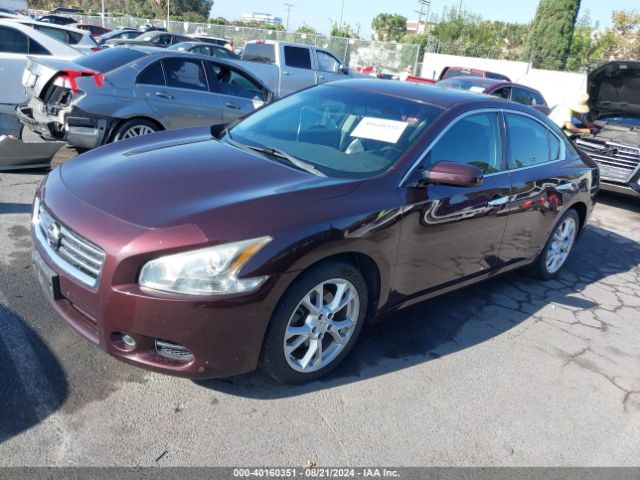 1N4AA5APXEC482613 Nissan Maxima 3.5 S/3.5 Sv