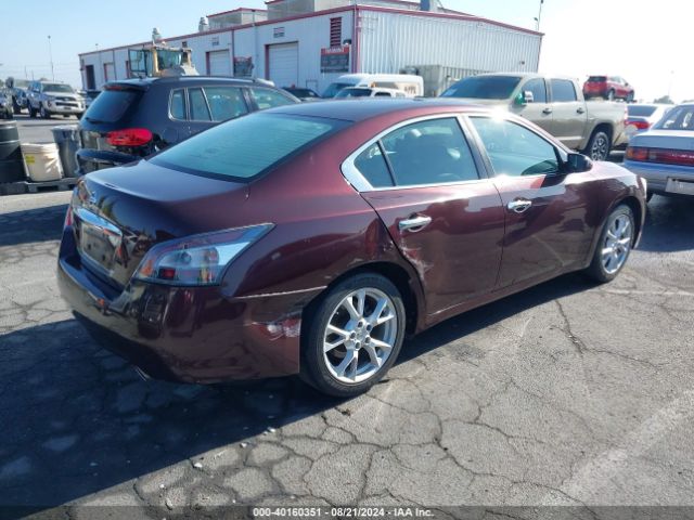 1N4AA5APXEC482613 Nissan Maxima 3.5 S/3.5 Sv