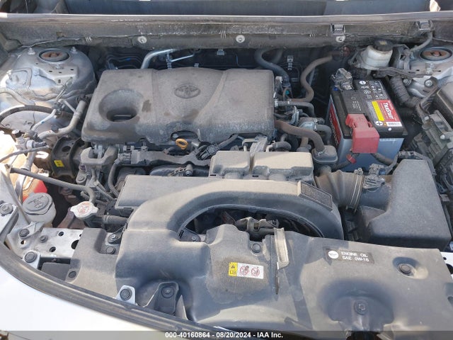 Toyota RAV4 LE 2019 2T3G1RFV3KC041371 Image 10