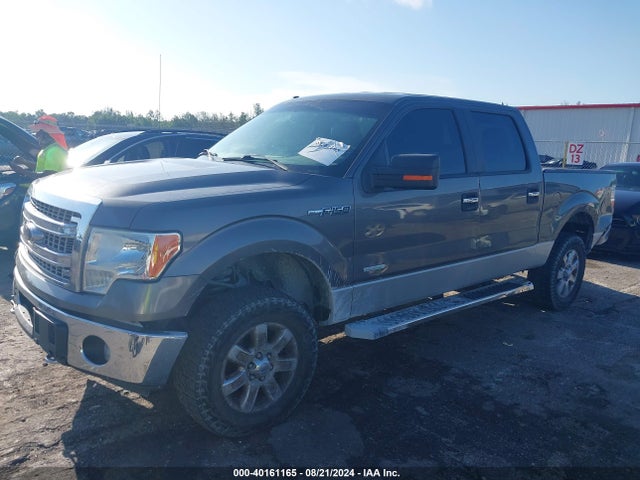 Продажа на аукционе авто 2013 Ford F-150 Xlt, vin: 1FTFW1ET4DKE59592, номер лота: 40161165