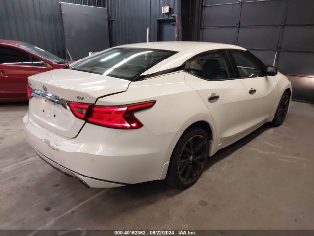 1N4AA6AP1HC409575 Nissan Maxima 3.5 Sv