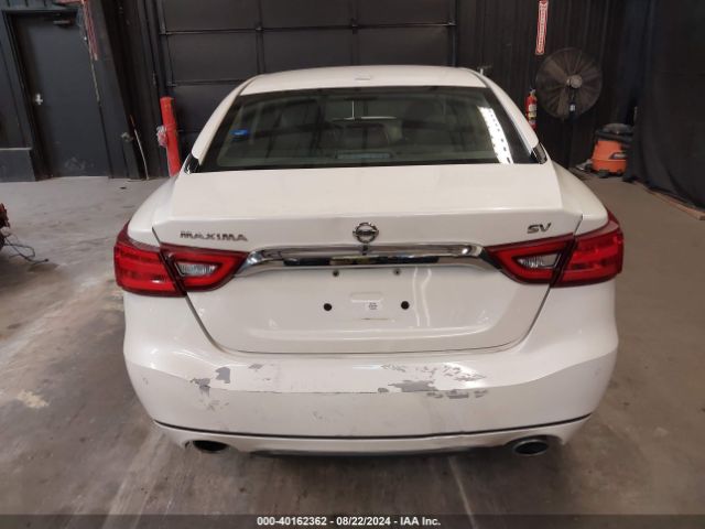 1N4AA6AP1HC409575 Nissan Maxima 3.5 Sv