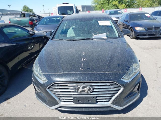 5NPE24AF8KH801632 Hyundai SONATA SE