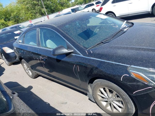 5NPE24AF8KH801632 Hyundai SONATA SE