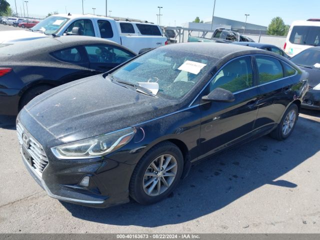 5NPE24AF8KH801632 Hyundai SONATA SE