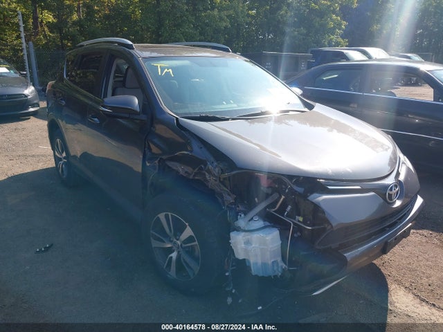 Toyota Rav4 Xle 2016 2T3RFREV4GW465014 главное изображение