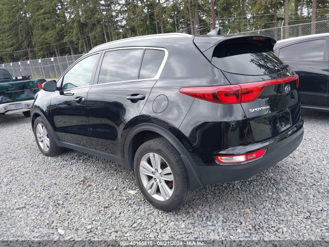 KIA Sportage Lx 2017 KNDPMCAC5H7244694 Image 3