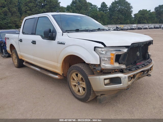 2019 1FTEW1E44KKD29555 main image