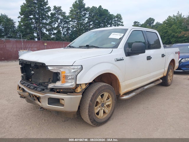 Ford F-150 Xlt 2019 1FTEW1E44KKD29555 Image 2