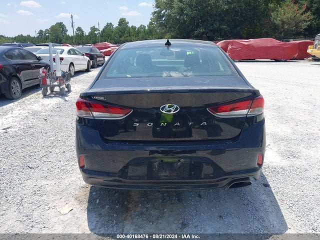 Hyundai SONATA SEL 2019 5NPE34AF3KH753275 Image 16