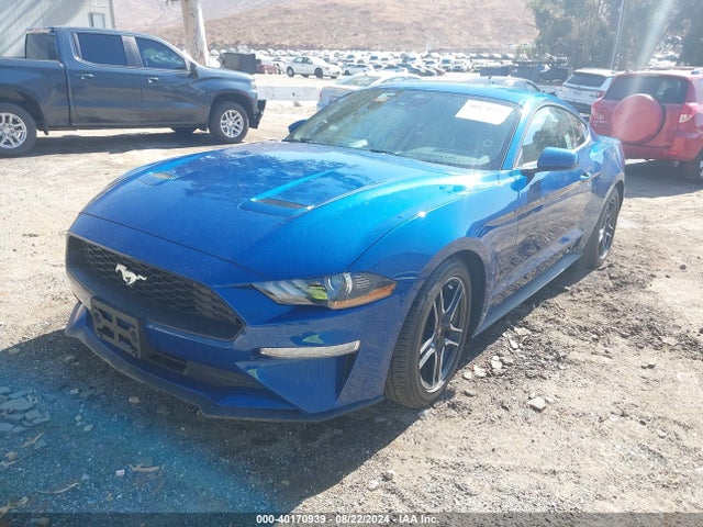 Ford Mustang Ecoboost Fastback 2022 1FA6P8TH6N5148983 Image 2
