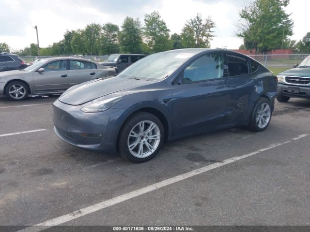 7SAYGDED2PF931969 Tesla Model Y Rwd