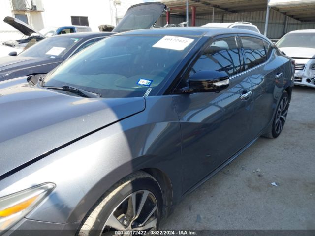 1N4AA6AP2HC450314 Nissan Maxima 3.5 Platinum