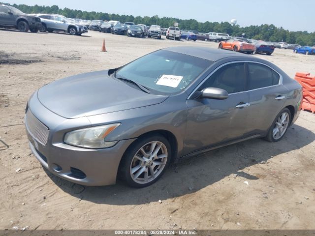 1N4AA5AP6EC491129 Nissan Maxima 3.5 S/3.5 Sv