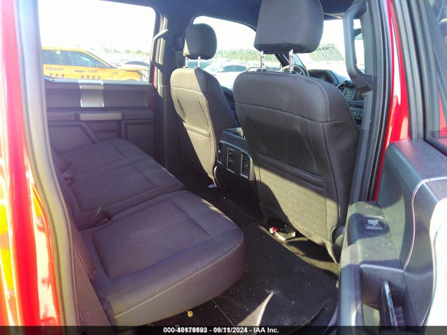 Ford F-150 Xlt 2015 1FTEW1EG0FFA11313 Image 8