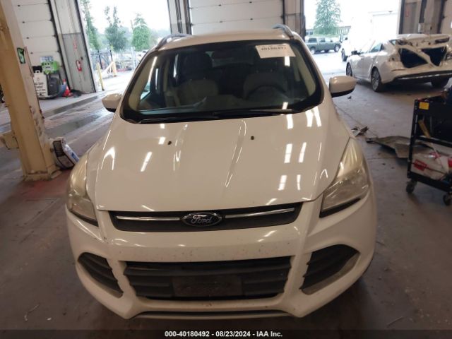 1FMCU9G95EUA31380 Ford ESCAPE SE
