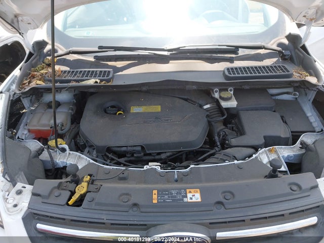 Ford ESCAPE SE 2014 1FMCU0GX6EUA78511 Image 10