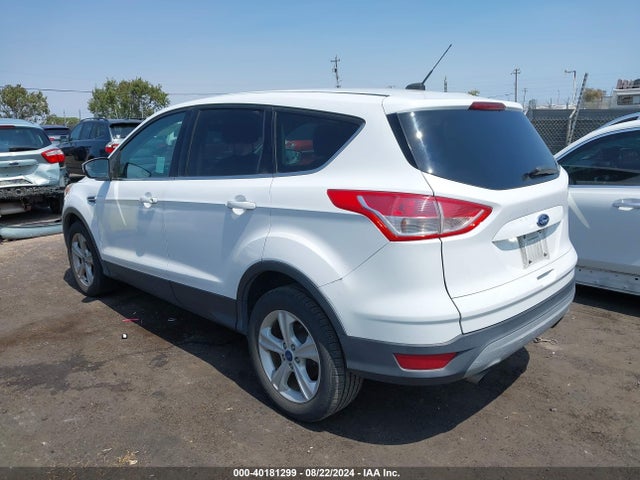 Ford ESCAPE SE 2014 1FMCU0GX6EUA78511 Image 3