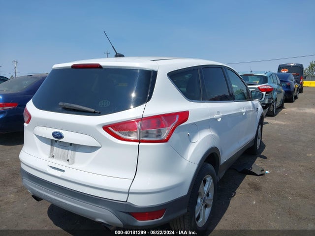 Ford ESCAPE SE 2014 1FMCU0GX6EUA78511 Image 4