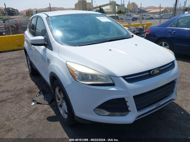 Ford ESCAPE SE 2014 1FMCU0GX6EUA78511 Image 6