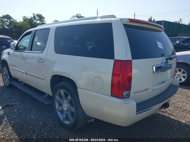 2007 CADILLAC ESCALADE ESV 1GYFK66887R338475 Photo 2