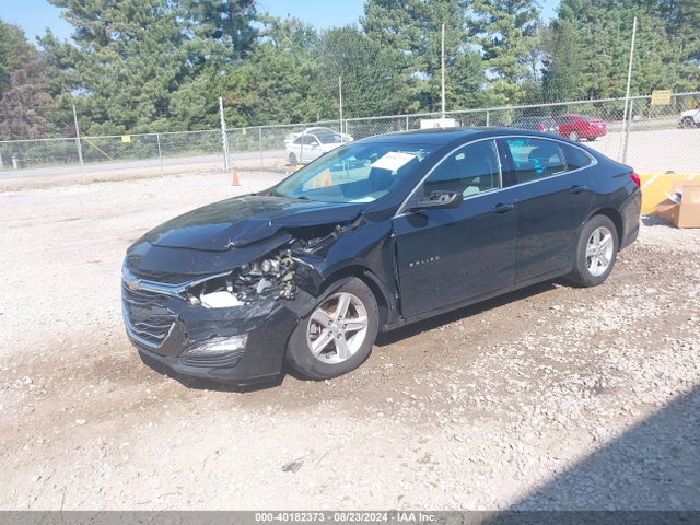 Chevrolet Malibu 1fl 2019 1G1ZC5ST2KF210370 Image 2