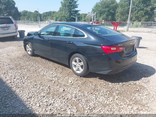 Chevrolet Malibu 1fl 2019 1G1ZC5ST2KF210370 Image 3