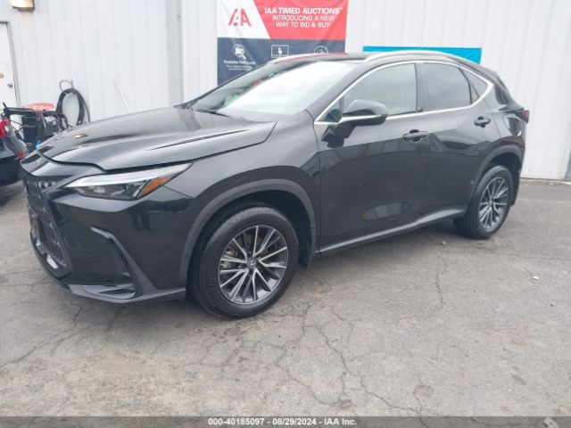 2T2AKCEZ5NC008904 Lexus NX 350H