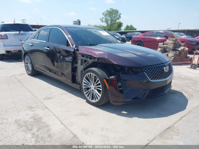 1G6DB5RK8M0145969 auction archive image