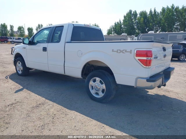 Ford F-150 Xlt 2014 1FTFX1EF6EKD40709 Image 3