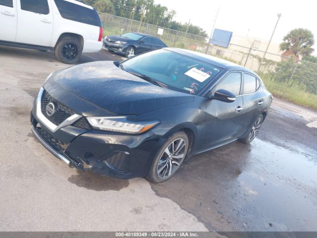 1N4AA6AV1KC381413 Nissan Maxima 3.5 Sl