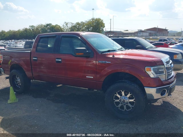 Ford F-150 Xlt 2014 1FTFW1ET1EKD65591 Image 13