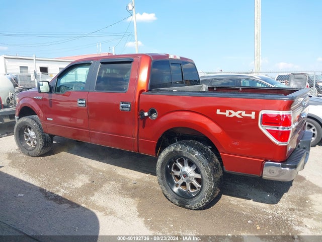 Ford F-150 Xlt 2014 1FTFW1ET1EKD65591 Image 14