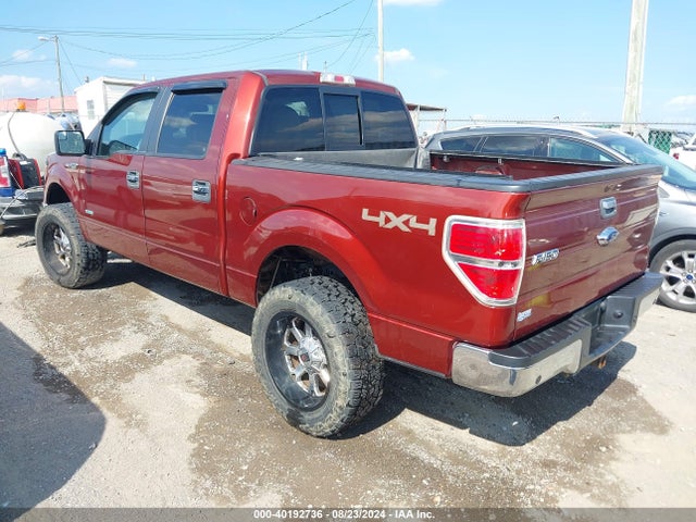 Ford F-150 Xlt 2014 1FTFW1ET1EKD65591 Image 3