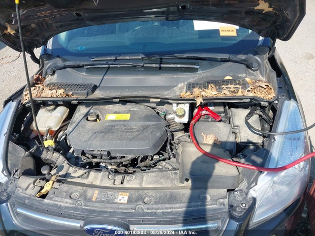 Ford ESCAPE SE 2016 1FMCU9GX5GUC53693 Image 10