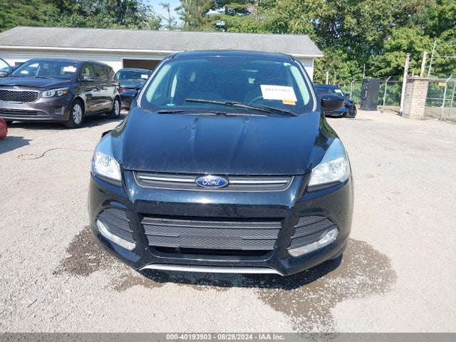 Ford ESCAPE SE 2016 1FMCU9GX5GUC53693 Image 13
