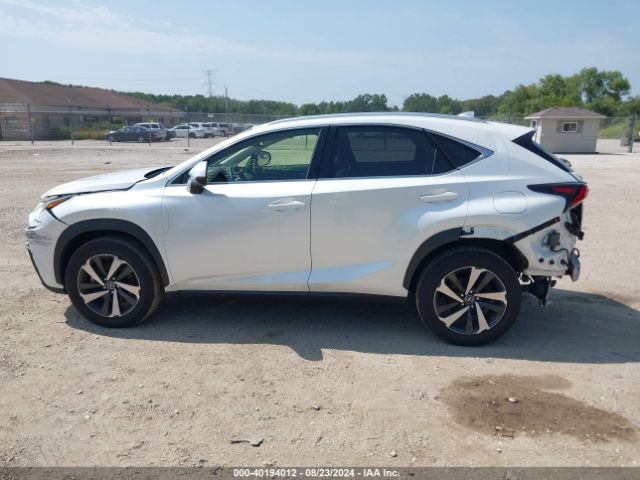 JTJGARDZXM5029231 Lexus NX 300