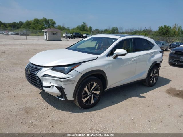 JTJGARDZXM5029231 Lexus NX 300