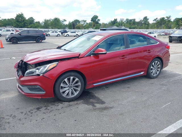 5NPE34AF4FH047681 Hyundai Sonata Sport