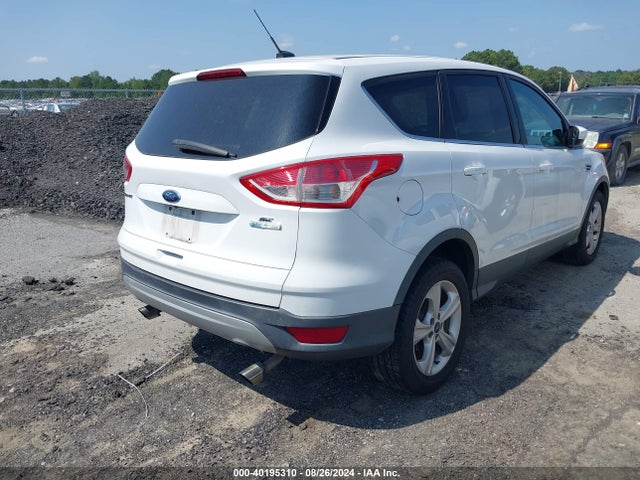Ford ESCAPE SE 2014 1FMCU0GX8EUC70061 Image 4